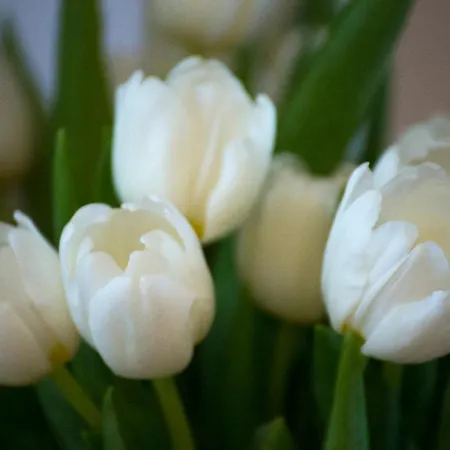 فندق Convento San Bernardino Montefranco