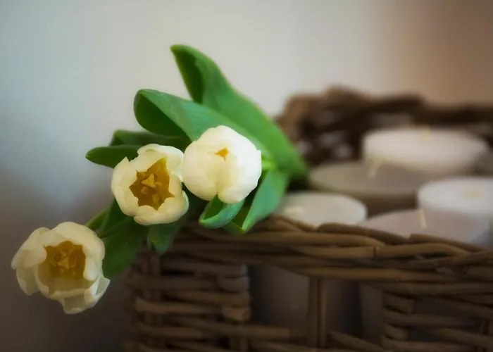 Convento San Bernardino