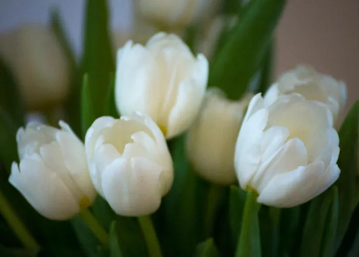 Hotel Convento San Bernardino Montefranco